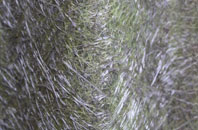 Upper Dicker fibreglass roof work